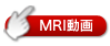 MRI動画